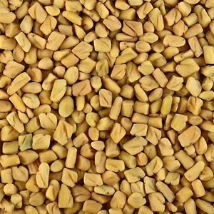 Fenugreek