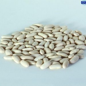 White Bean