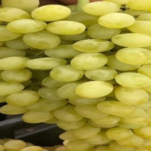 Grapes